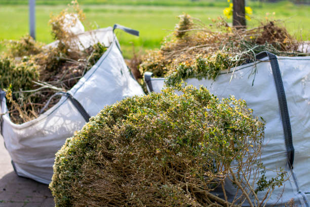 Best Moving and Downsizing Cleanouts  in Clksville, AR